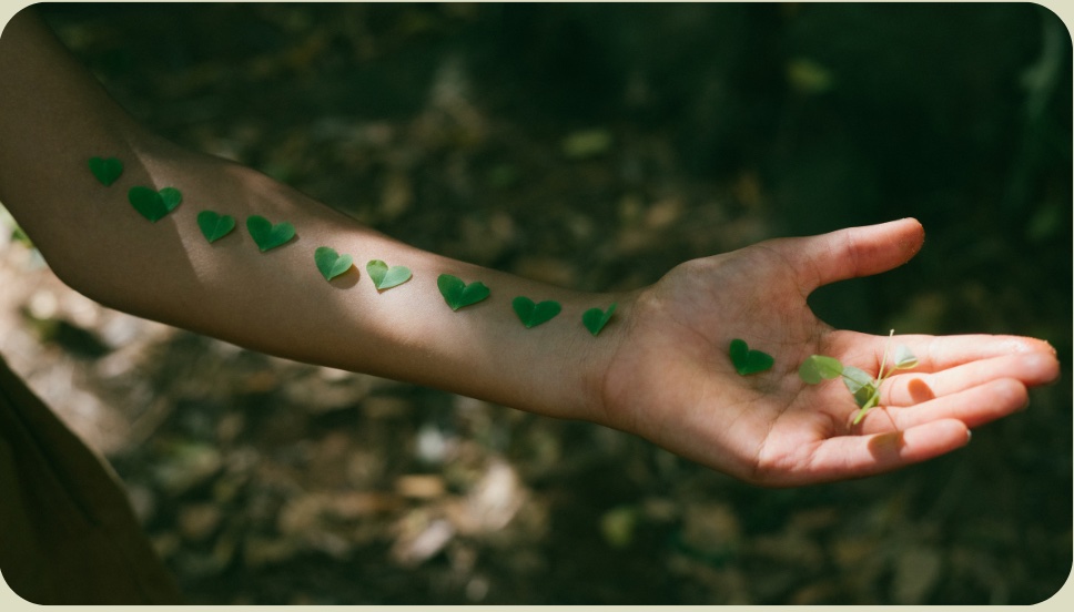 ‚Xiàng 象‘ — Analogien im „Denken“ der Chinesischen Medizin