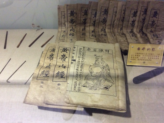 Geschichte der Akupunktur